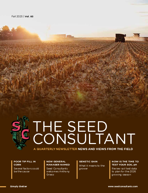The Seed Consultant Fall 2025